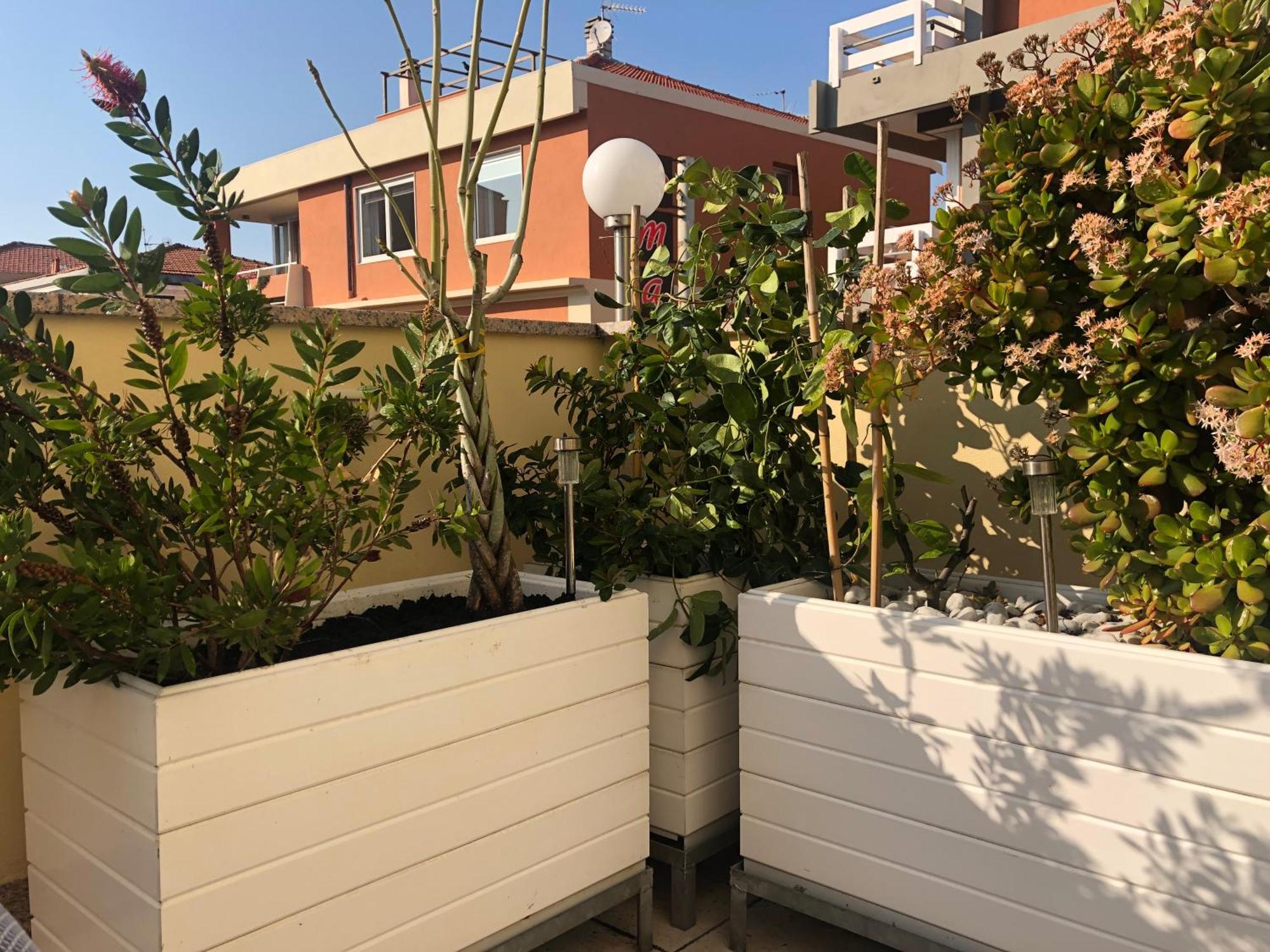 B&B Borgo Marina Бордігера Екстер'єр фото